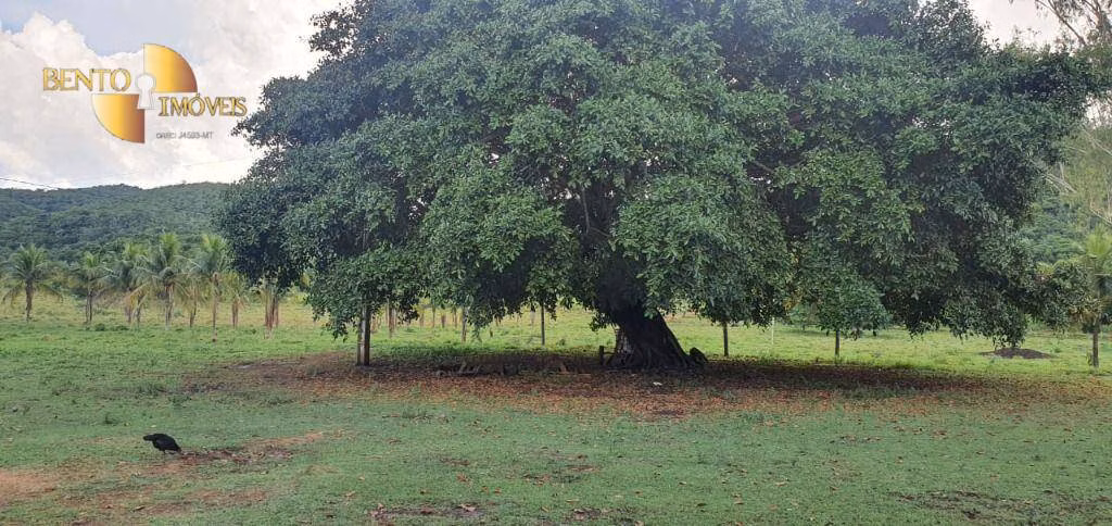 Fazenda de 1.764 ha em Cáceres, MT