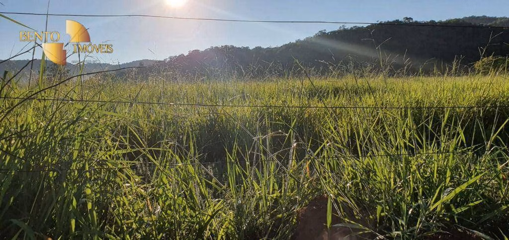 Fazenda de 1.764 ha em Cáceres, MT