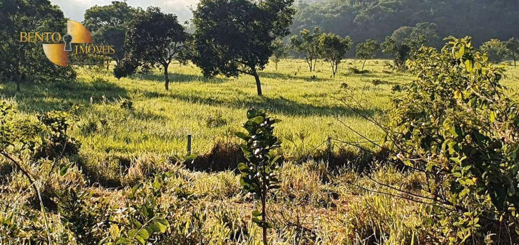 Fazenda de 1.764 ha em Cáceres, MT