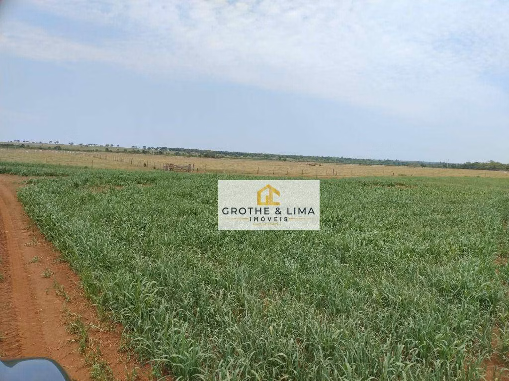 Fazenda de 942 ha em Campo Grande, MS