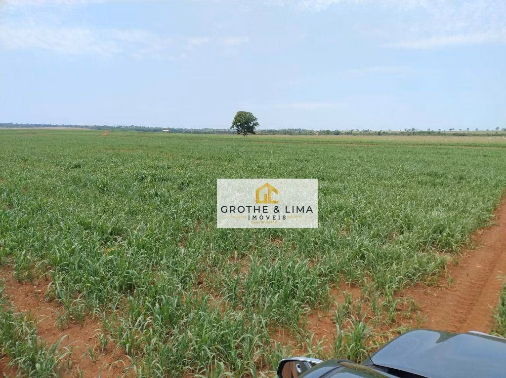 Fazenda de 942 ha em Campo Grande, MS