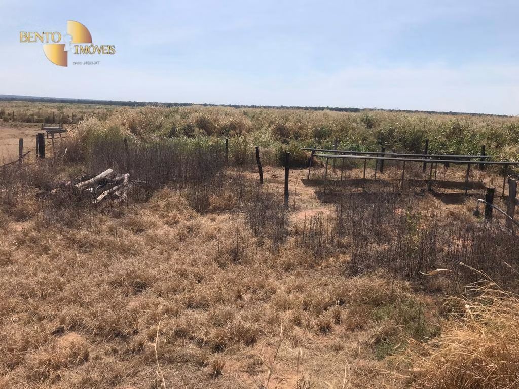 Farm of 7,932 acres in Paranatinga, MT, Brazil