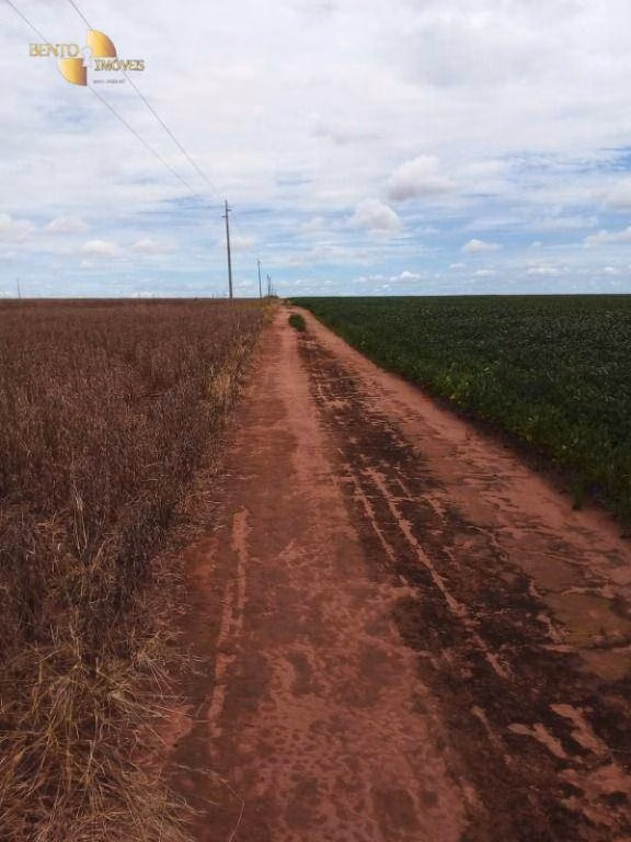 Farm of 7,932 acres in Paranatinga, MT, Brazil