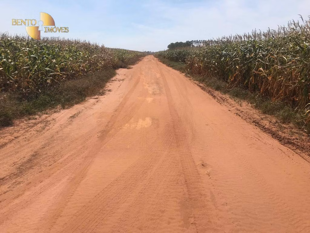 Farm of 7,932 acres in Paranatinga, MT, Brazil
