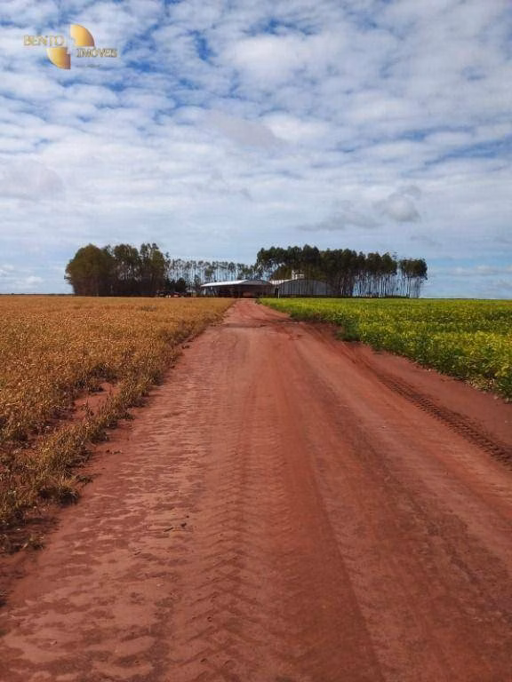 Farm of 7,932 acres in Paranatinga, MT, Brazil