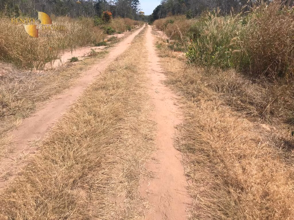 Farm of 7,932 acres in Paranatinga, MT, Brazil