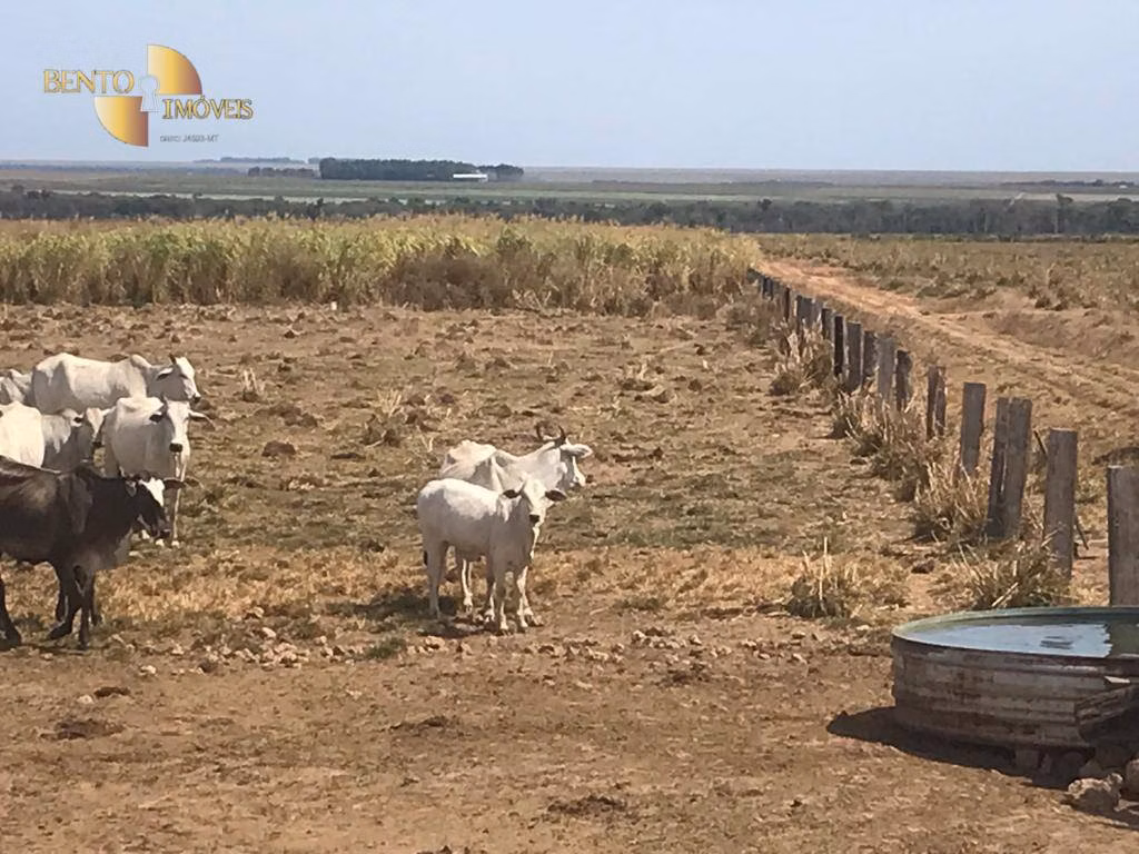 Farm of 7,932 acres in Paranatinga, MT, Brazil