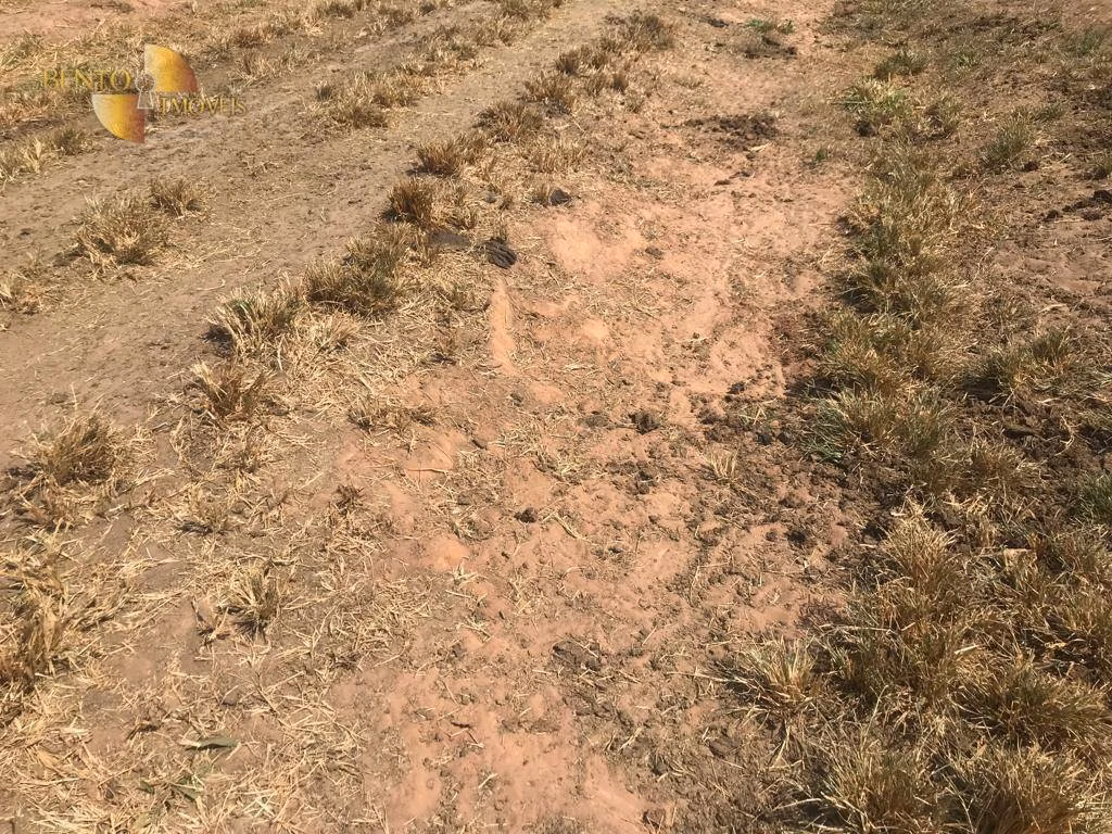 Farm of 7,932 acres in Paranatinga, MT, Brazil
