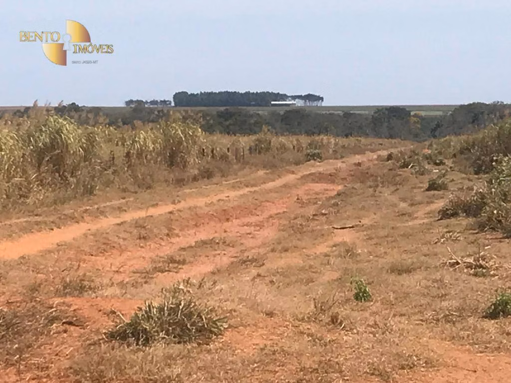 Farm of 7,932 acres in Paranatinga, MT, Brazil