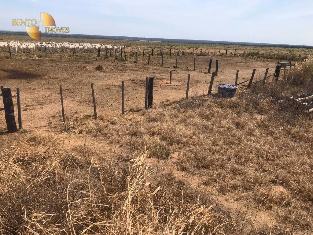 Farm of 7,932 acres in Paranatinga, MT, Brazil