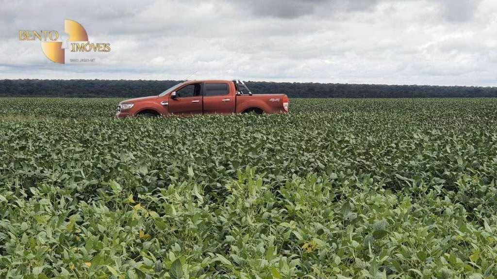 Farm of 3,200 acres in Bom Jesus do Araguaia, MT, Brazil