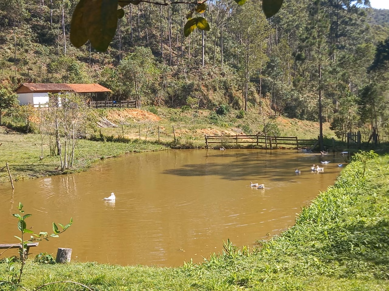 Small farm of 78 acres in Natividade da Serra, SP, Brazil