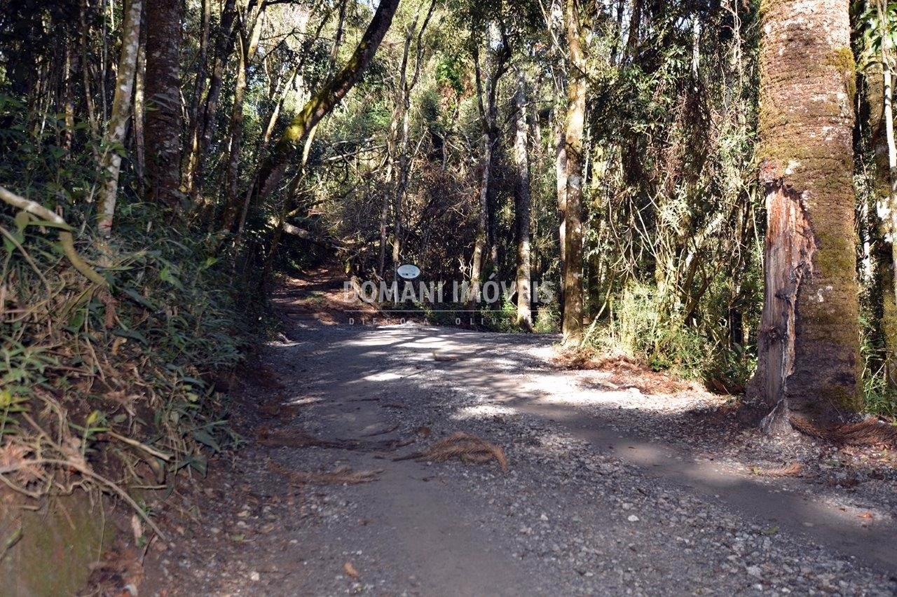 Plot of 1,200 m² in Campos do Jordão, SP, Brazil