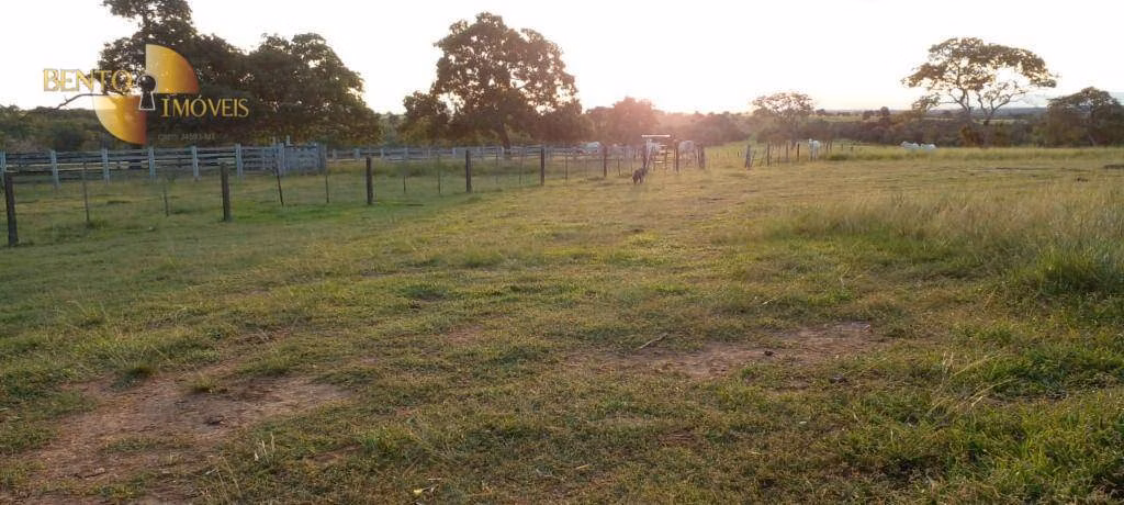 Fazenda de 1.000 ha em Poconé, MT