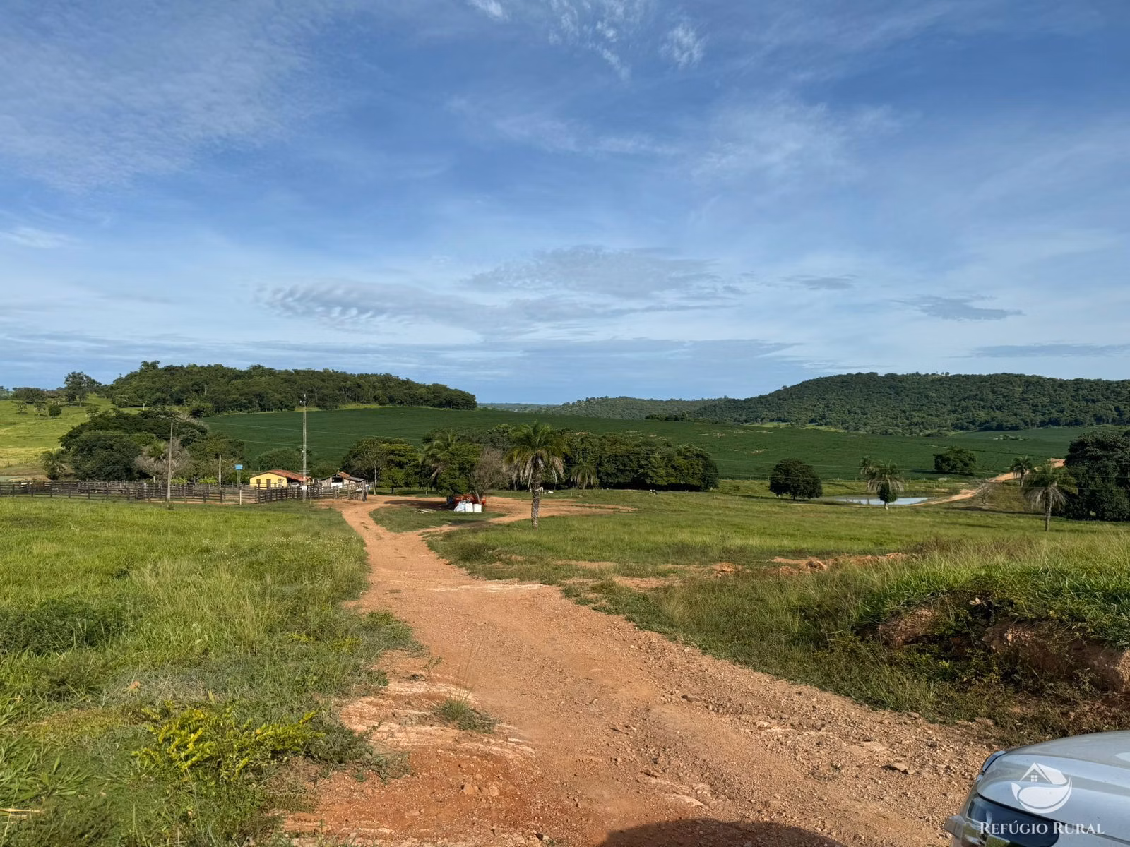 Fazenda de 677 ha em São Luís de Montes Belos, GO