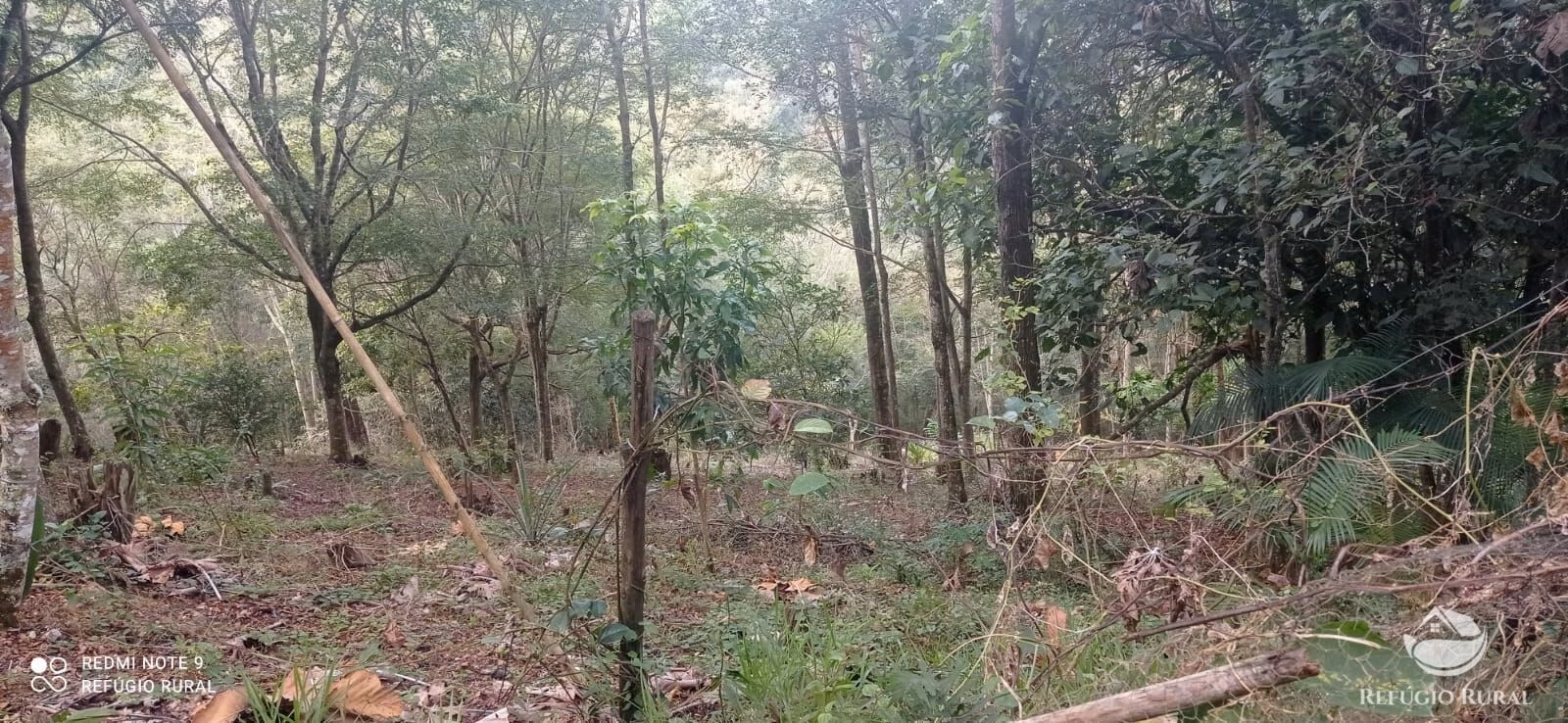 Sítio de 4 ha em Monteiro Lobato, SP