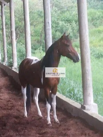 Sítio de 28 ha em Monteiro Lobato, SP