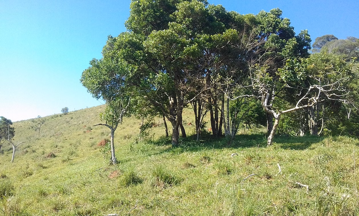 Plot of 18 acres in Monteiro Lobato, SP, Brazil