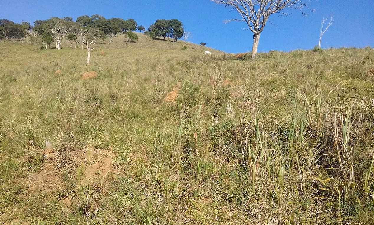 Plot of 18 acres in Monteiro Lobato, SP, Brazil