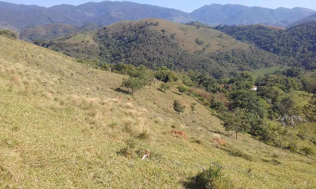 Plot of 18 acres in Monteiro Lobato, SP, Brazil