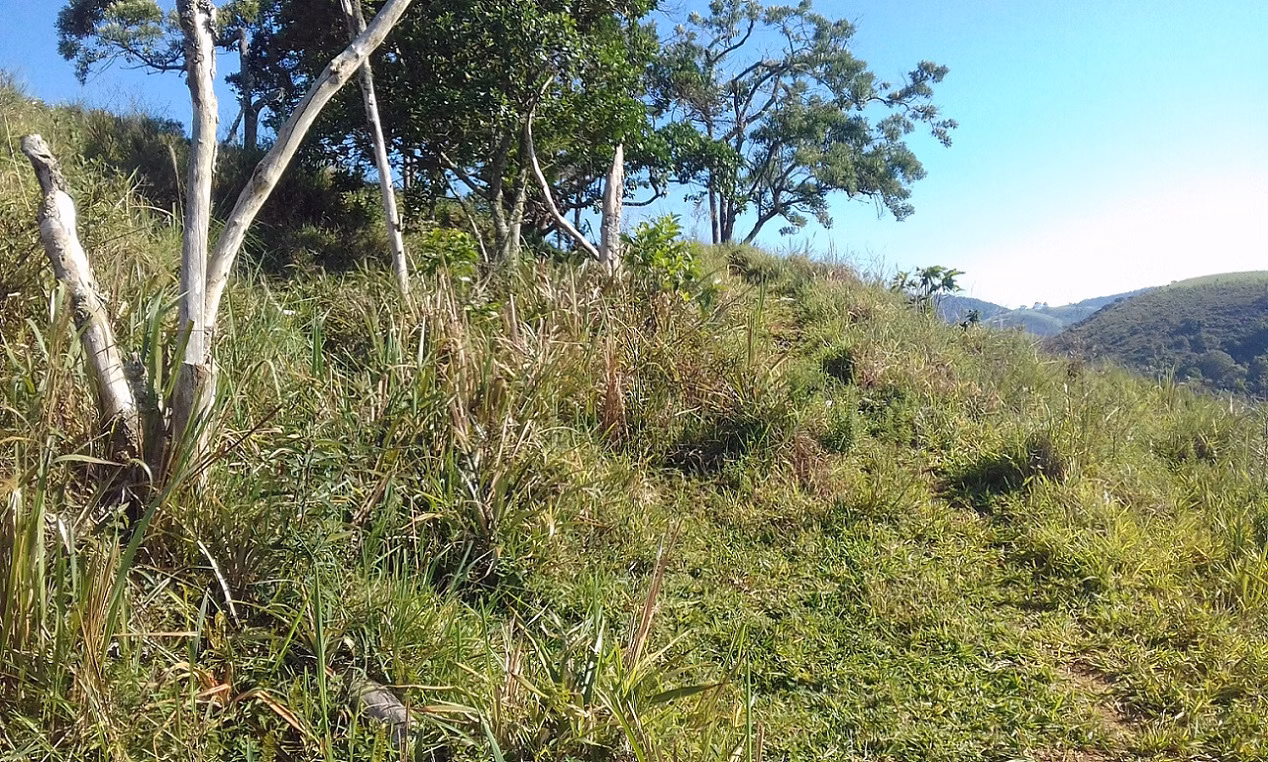 Plot of 18 acres in Monteiro Lobato, SP, Brazil