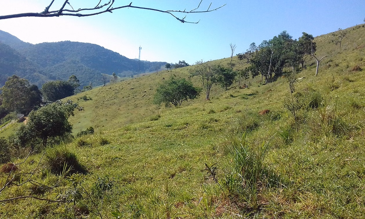 Plot of 18 acres in Monteiro Lobato, SP, Brazil