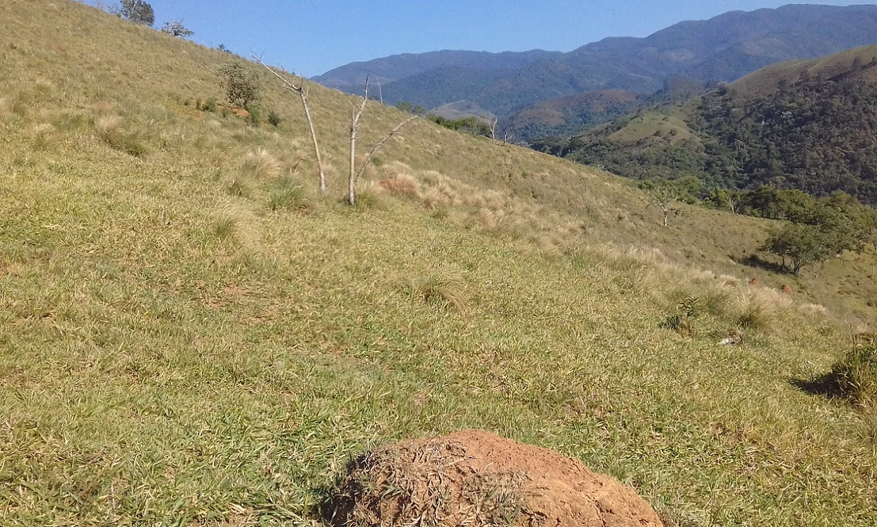 Plot of 18 acres in Monteiro Lobato, SP, Brazil