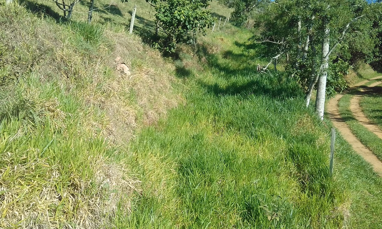 Plot of 18 acres in Monteiro Lobato, SP, Brazil