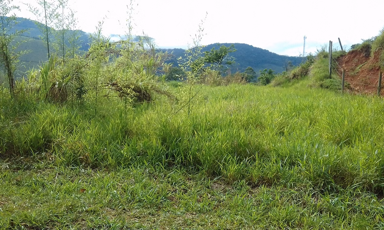 Plot of 18 acres in Monteiro Lobato, SP, Brazil