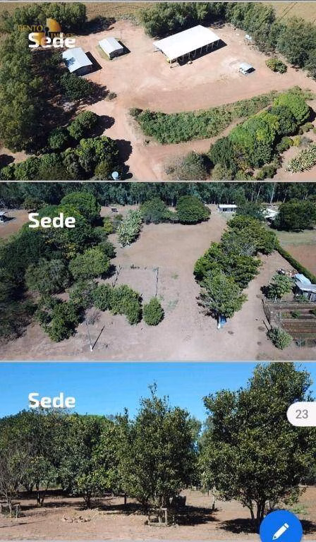 Farm of 3.712 acres in Campo Novo do Parecis, MT, Brazil