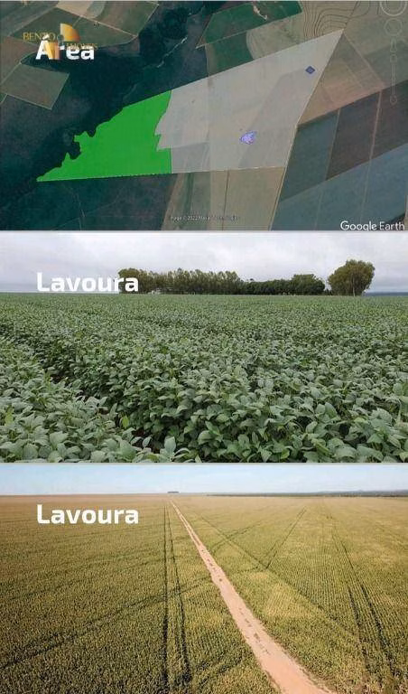 Fazenda de 1.502 ha em Campo Novo do Parecis, MT