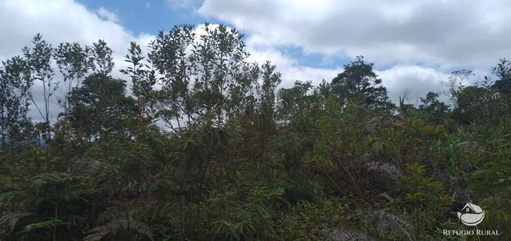 Terreno de 2 ha em Monteiro Lobato, SP