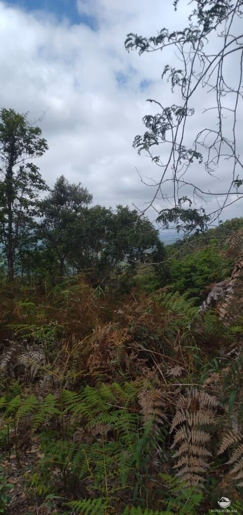 Terreno de 2 ha em Monteiro Lobato, SP
