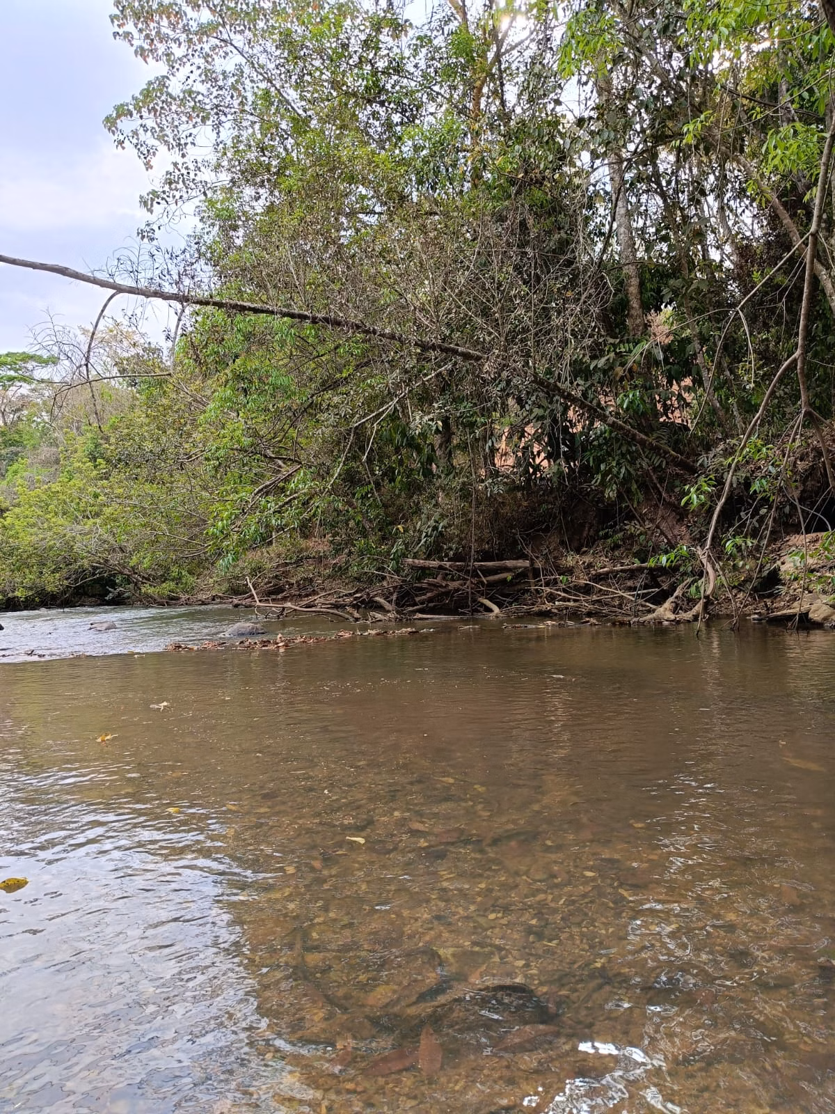 Country home of 7,413,155 acres in São Miguel do Passa Quatro, GO, Brazil