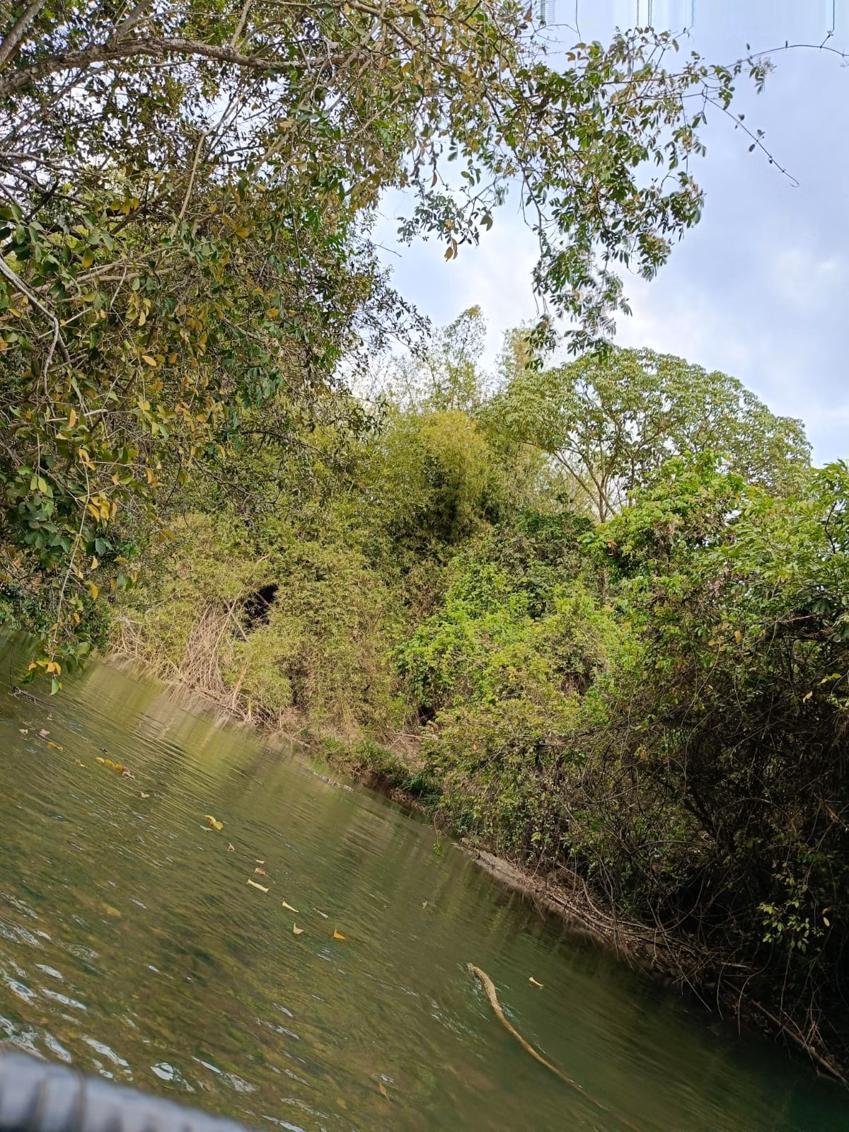 Country home of 7,413,155 acres in São Miguel do Passa Quatro, GO, Brazil
