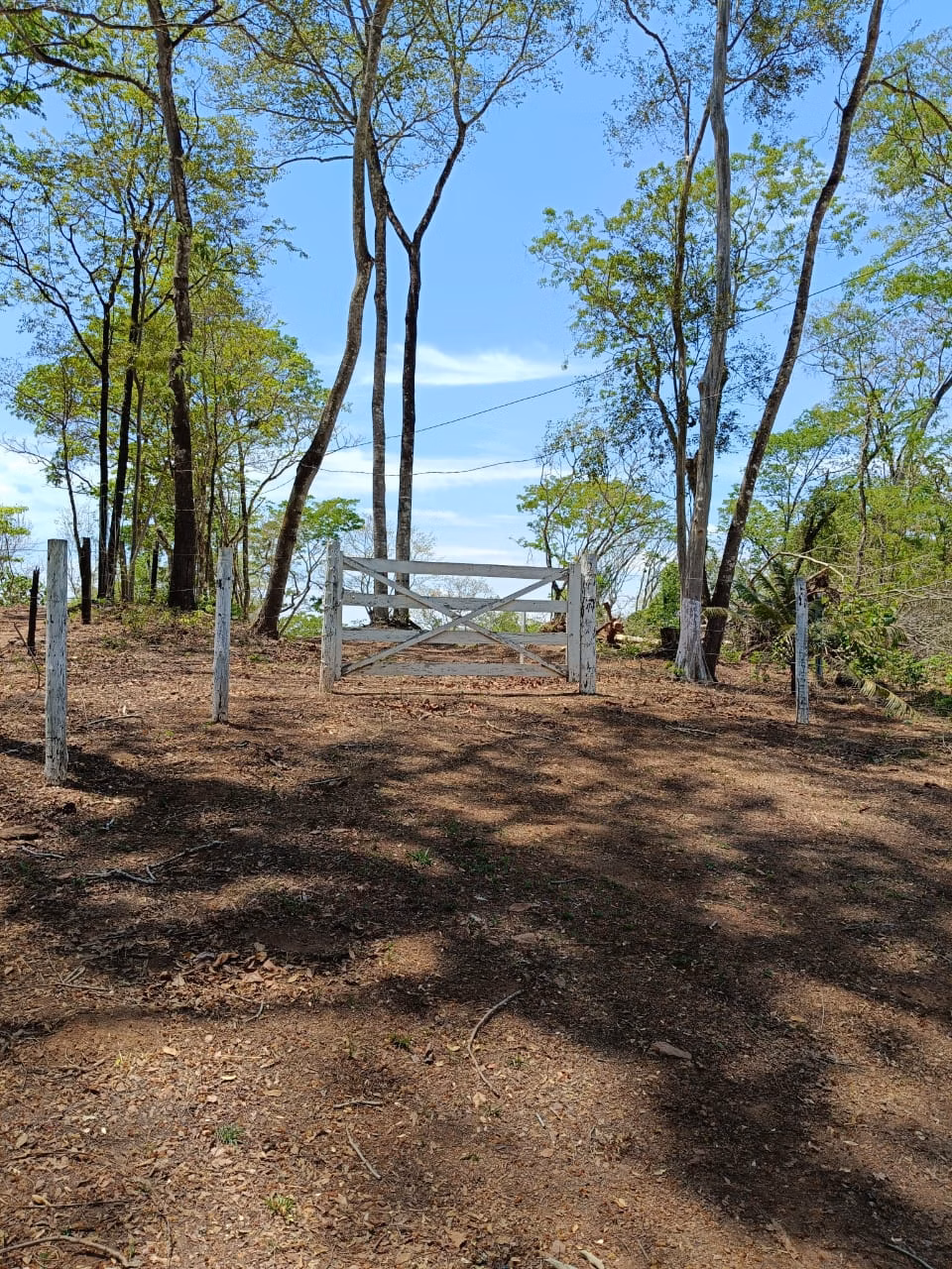 Country home of 7,413,155 acres in São Miguel do Passa Quatro, GO, Brazil