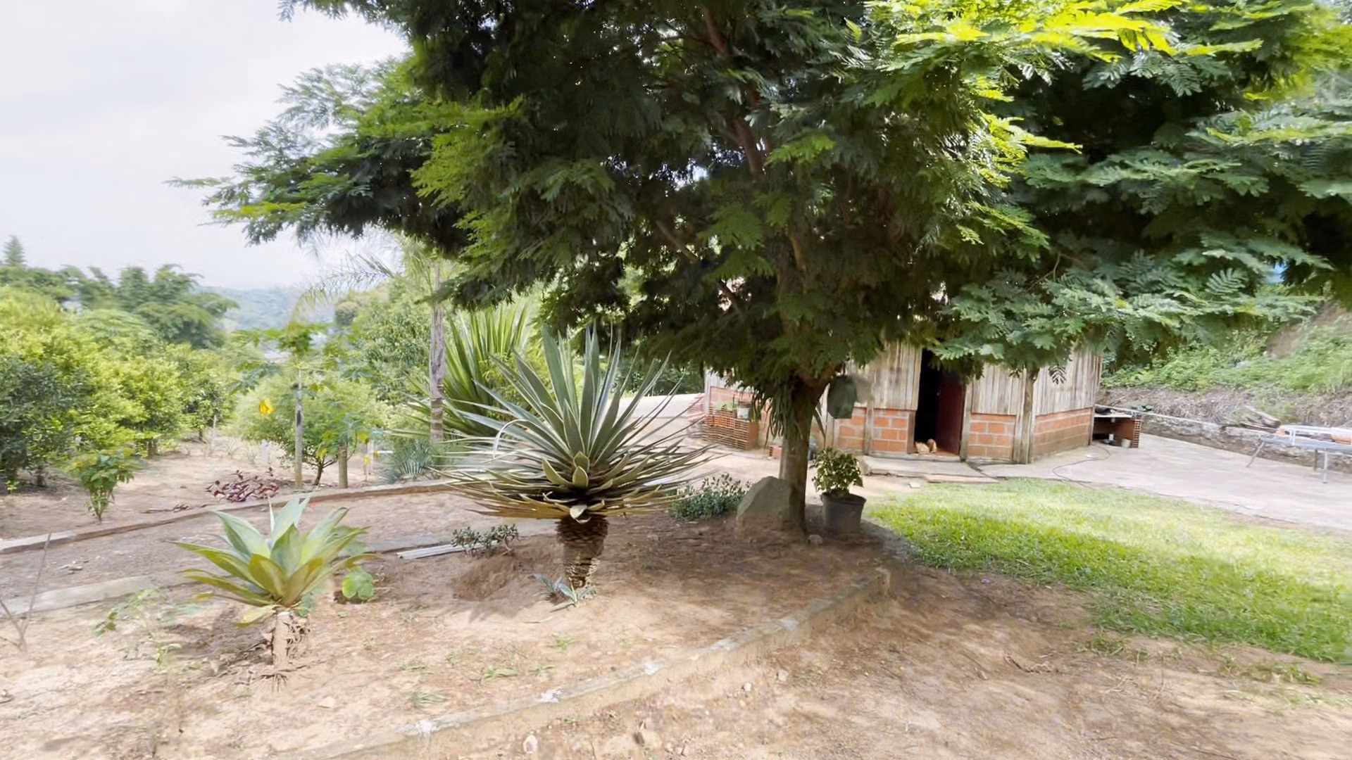 Chácara de 1 ha em Taquara, RS