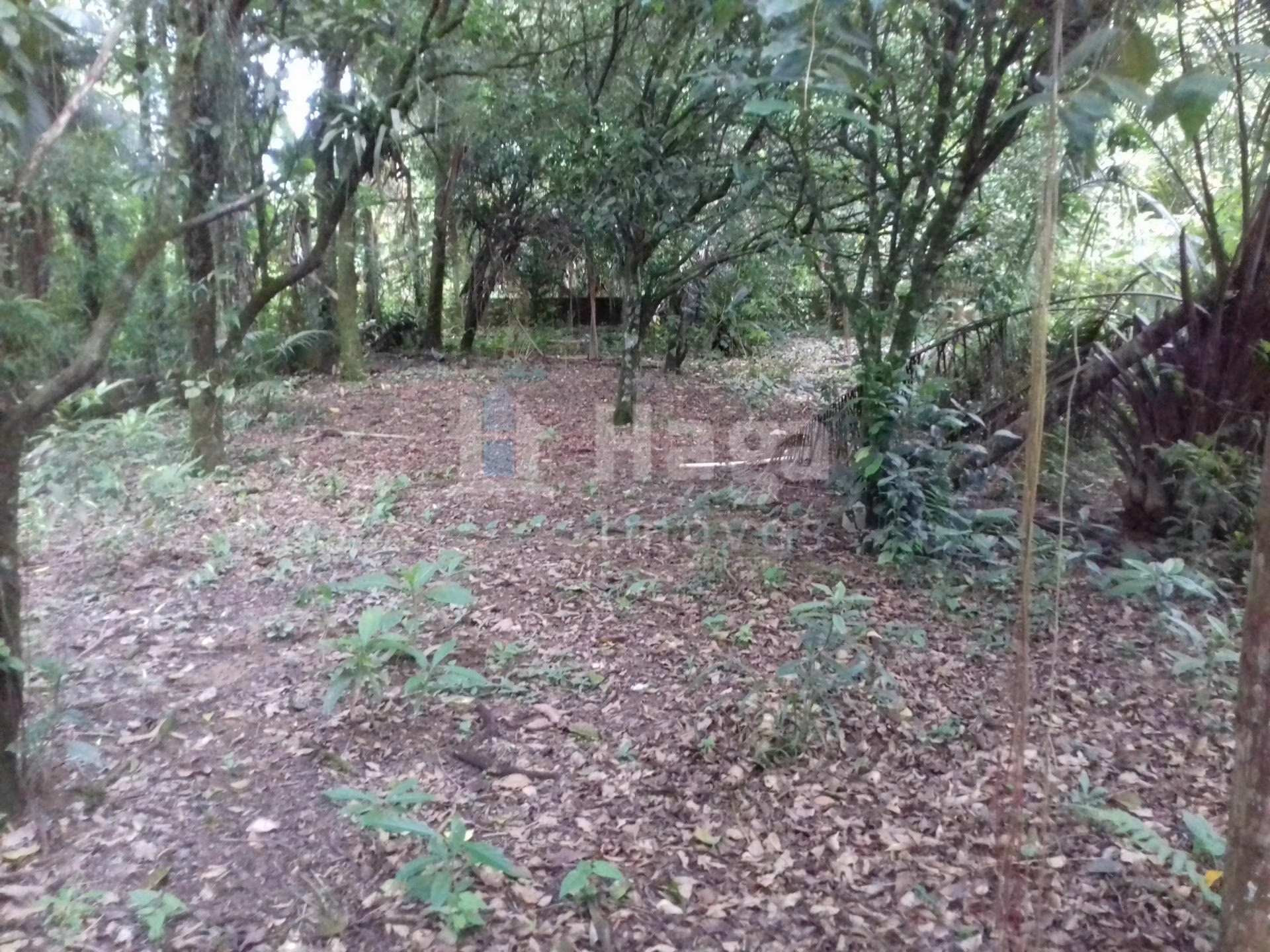 Terreno de 7.700 m² em Guabiruba, SC