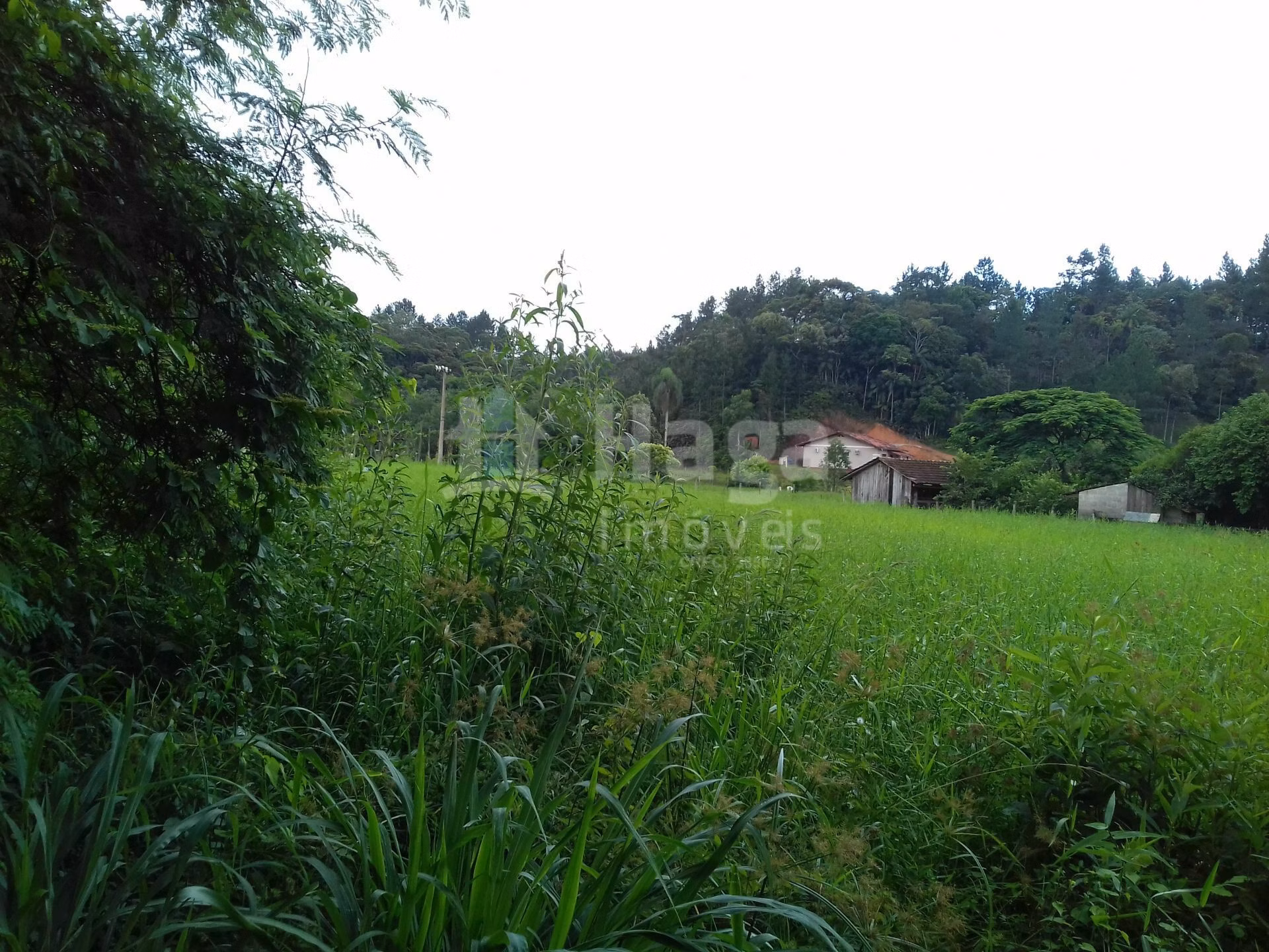 Terreno de 7.700 m² em Guabiruba, SC