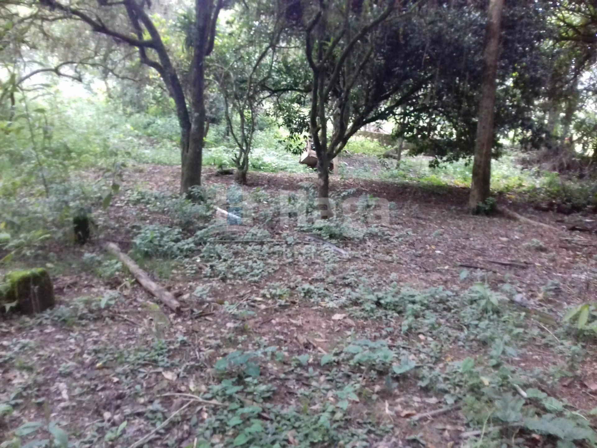 Terreno de 7.700 m² em Guabiruba, SC