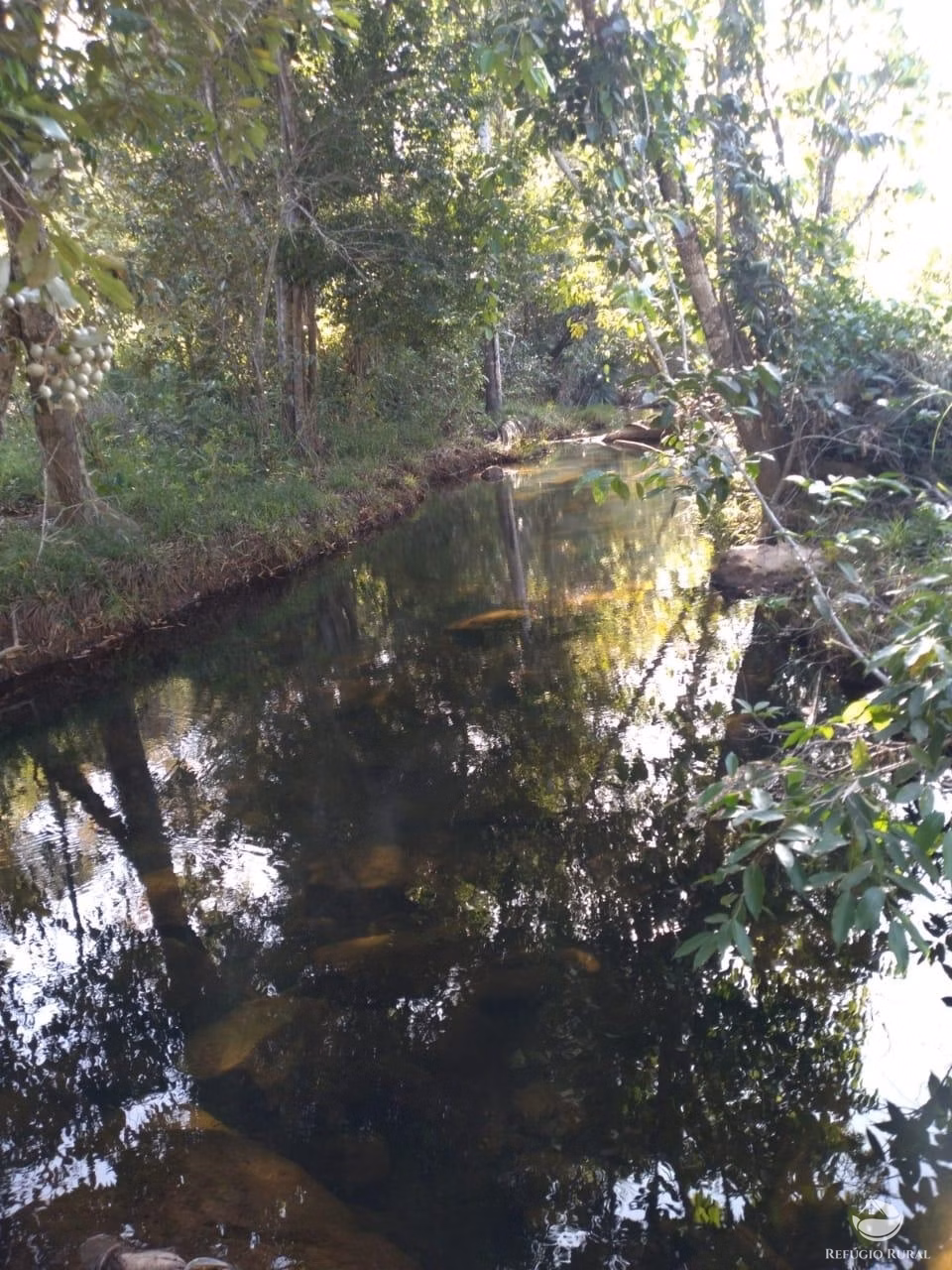 Fazenda de 1.897 ha em Niquelândia, GO