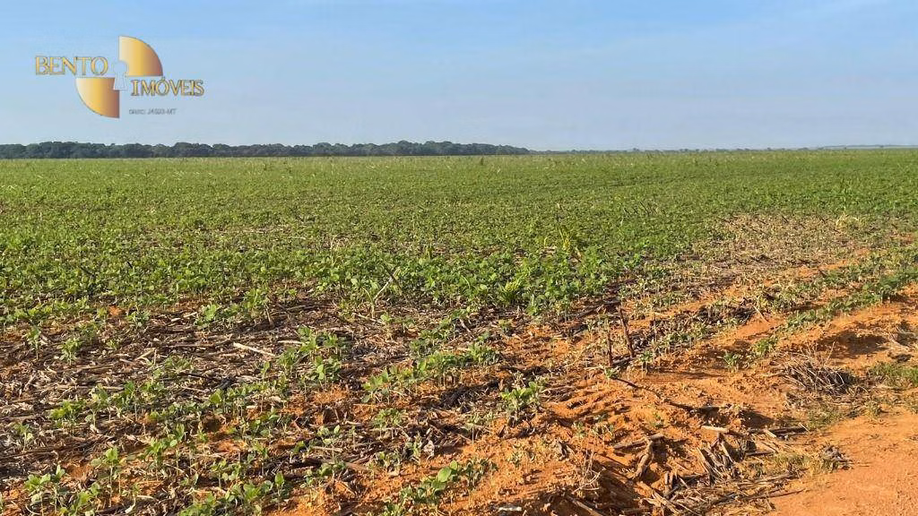 Fazenda de 3.600 ha em Ipiranga do Norte, MT