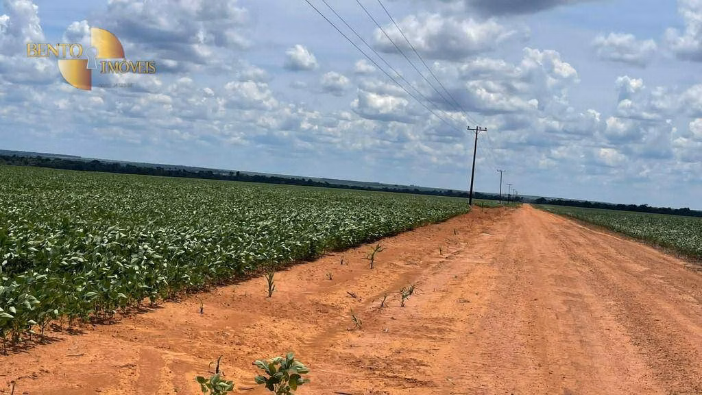 Fazenda de 3.600 ha em Ipiranga do Norte, MT