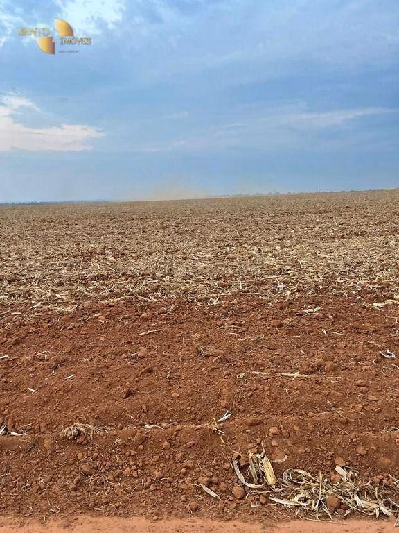 Fazenda de 3.600 ha em Ipiranga do Norte, MT