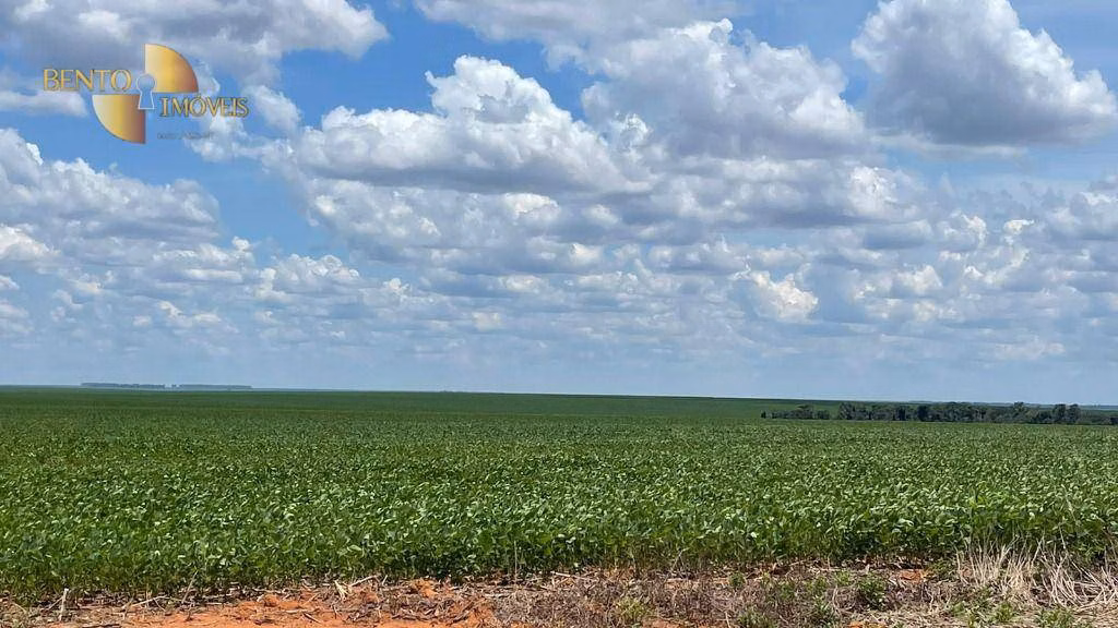 Fazenda de 3.600 ha em Ipiranga do Norte, MT