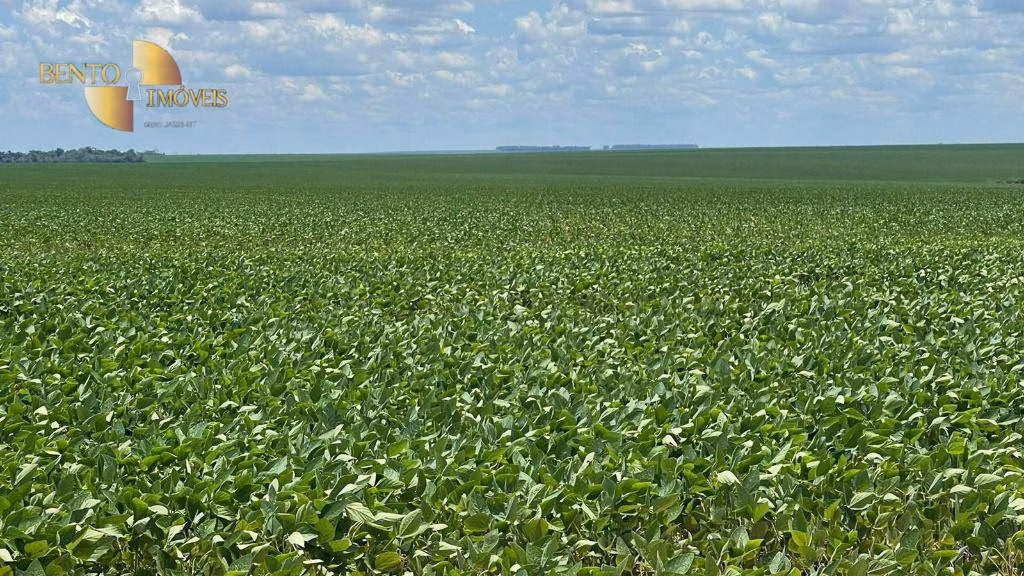Fazenda de 3.600 ha em Ipiranga do Norte, MT