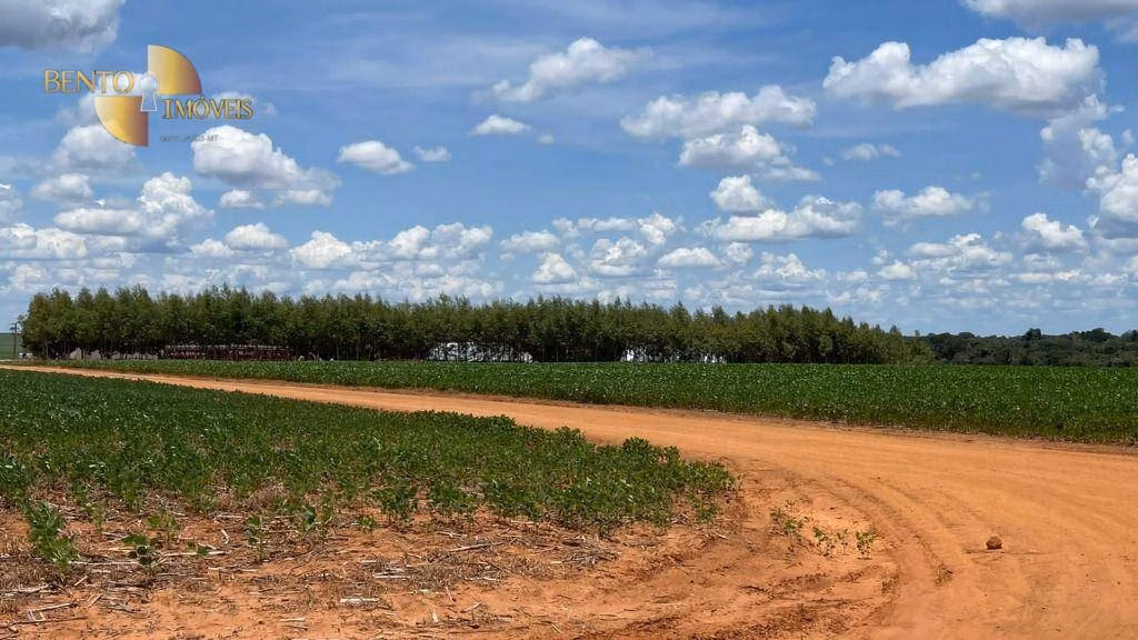 Fazenda de 3.600 ha em Ipiranga do Norte, MT