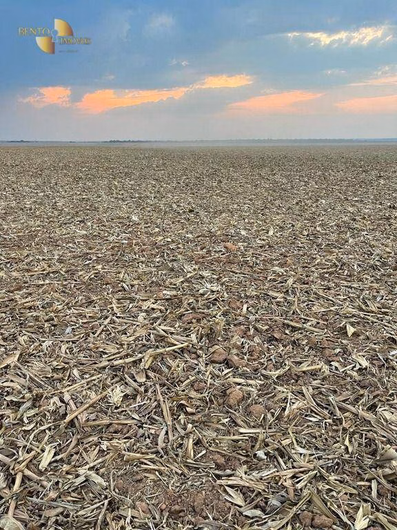 Fazenda de 3.600 ha em Ipiranga do Norte, MT