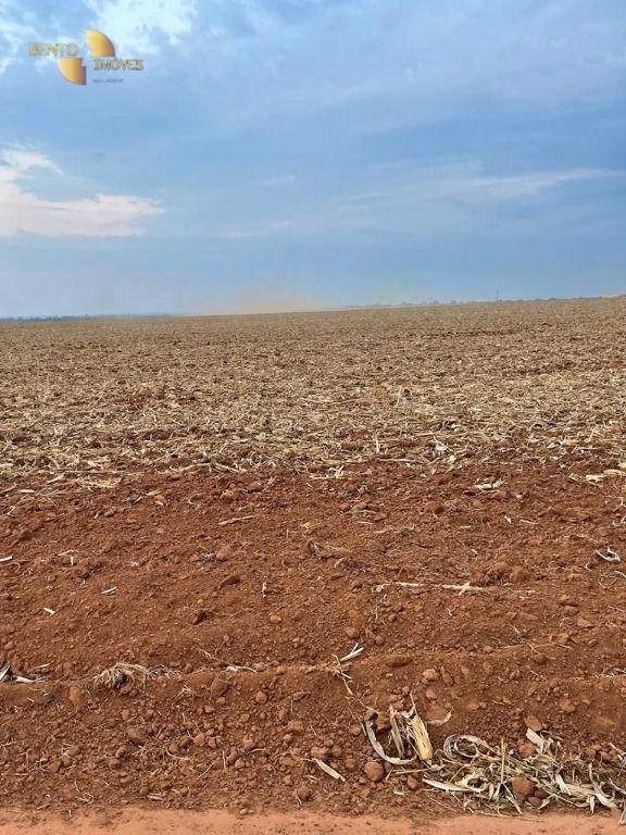 Fazenda de 3.600 ha em Ipiranga do Norte, MT