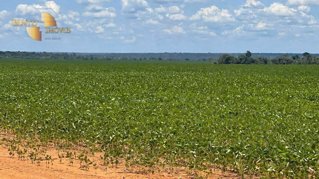 Fazenda de 3.600 ha em Ipiranga do Norte, MT